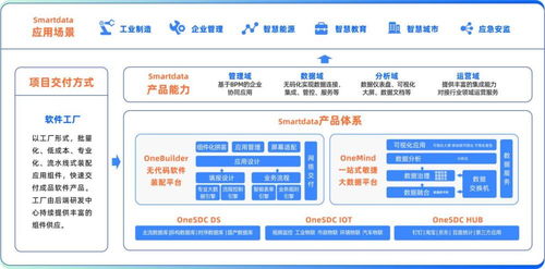 中國軟件網(wǎng)對話數(shù)睿數(shù)據(jù)CEO 深挖數(shù)據(jù)驅(qū)動(dòng)的企業(yè)級無代碼計(jì)算機(jī)軟硬件